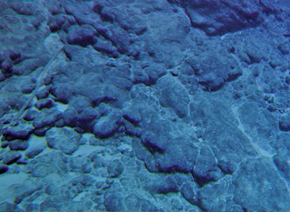 Photo of Cobalt-rich ferromanganese crusts on a seamount. Photo: World Ocean Review