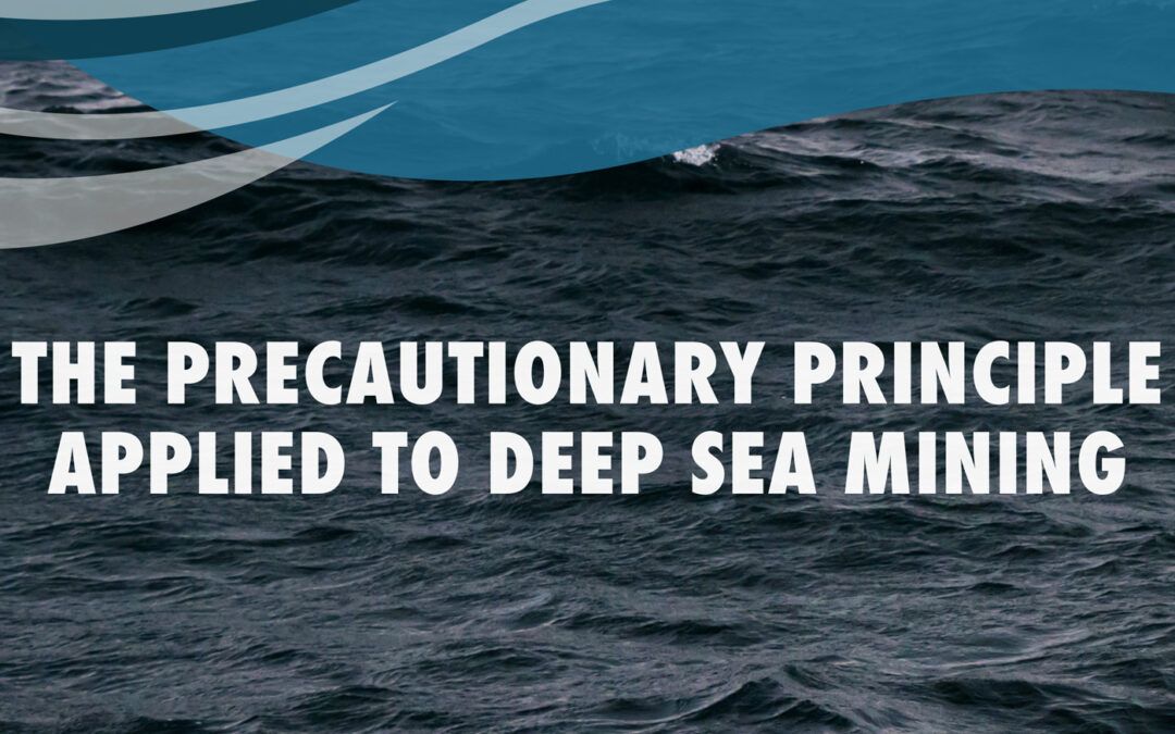 The Precautionary Principle Applied to Deep Sea Mining